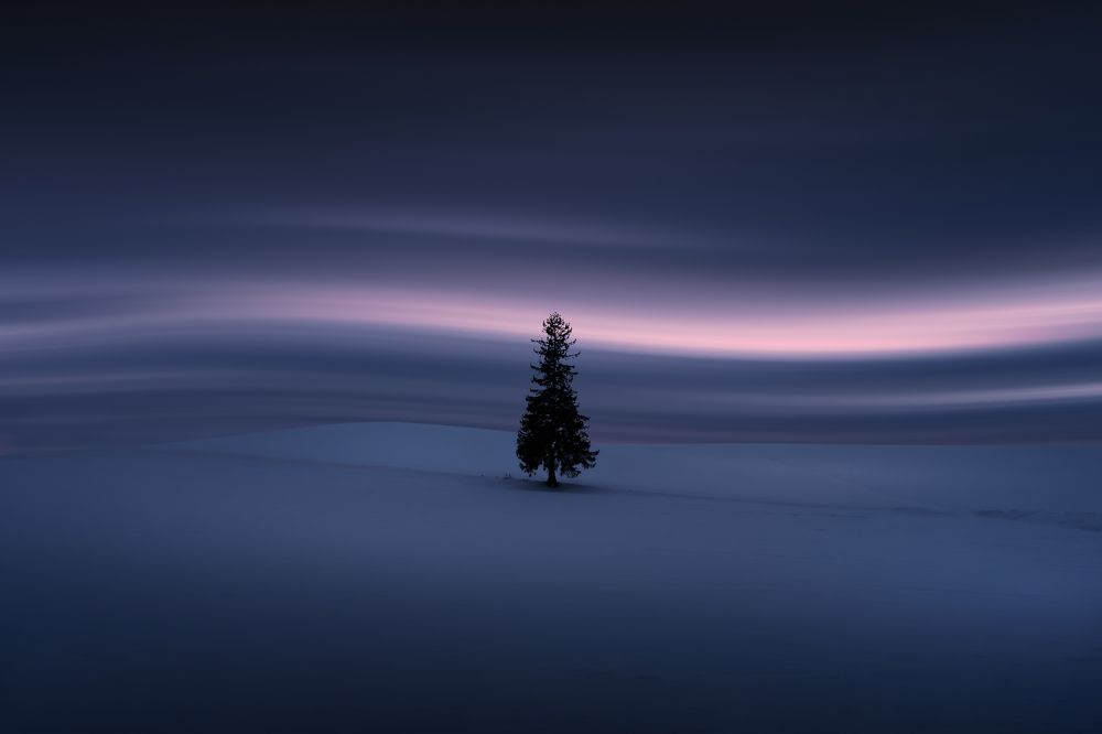 Photograph by Zhang Yujie