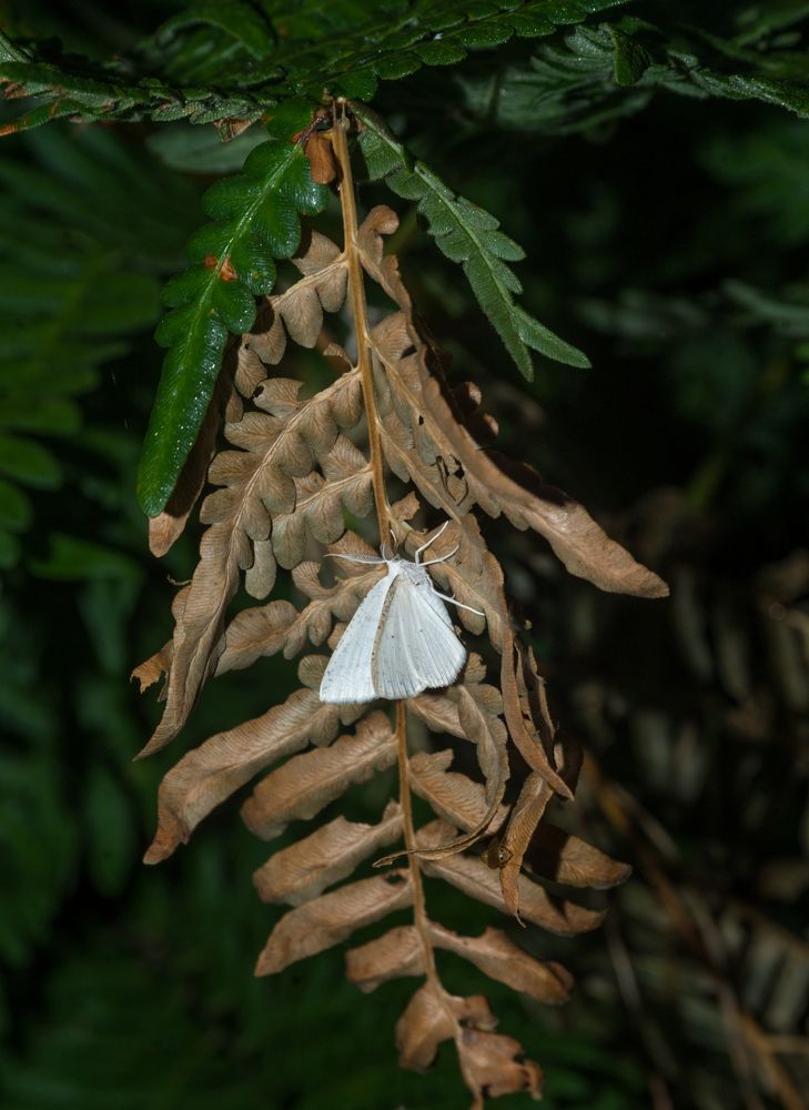 Photograph by Эрик Турман