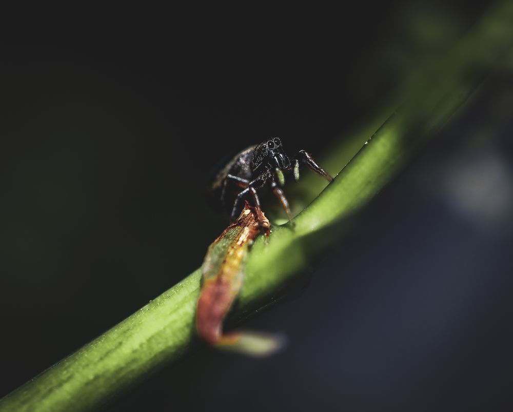 Photograph by Мария Ирешева