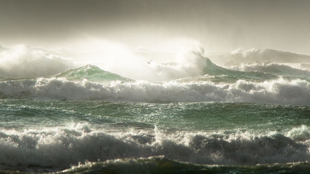 Фотография автора Fumi Taki