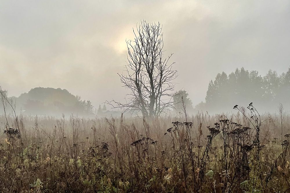 Photograph by Екатерина Шилкина