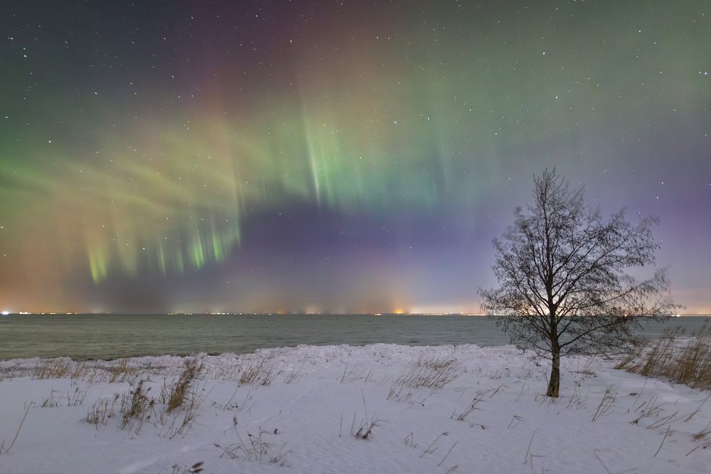 Photograph by Дмитрий Макинский