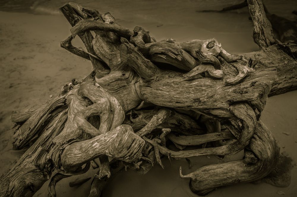 Photograph by Александр Халимов