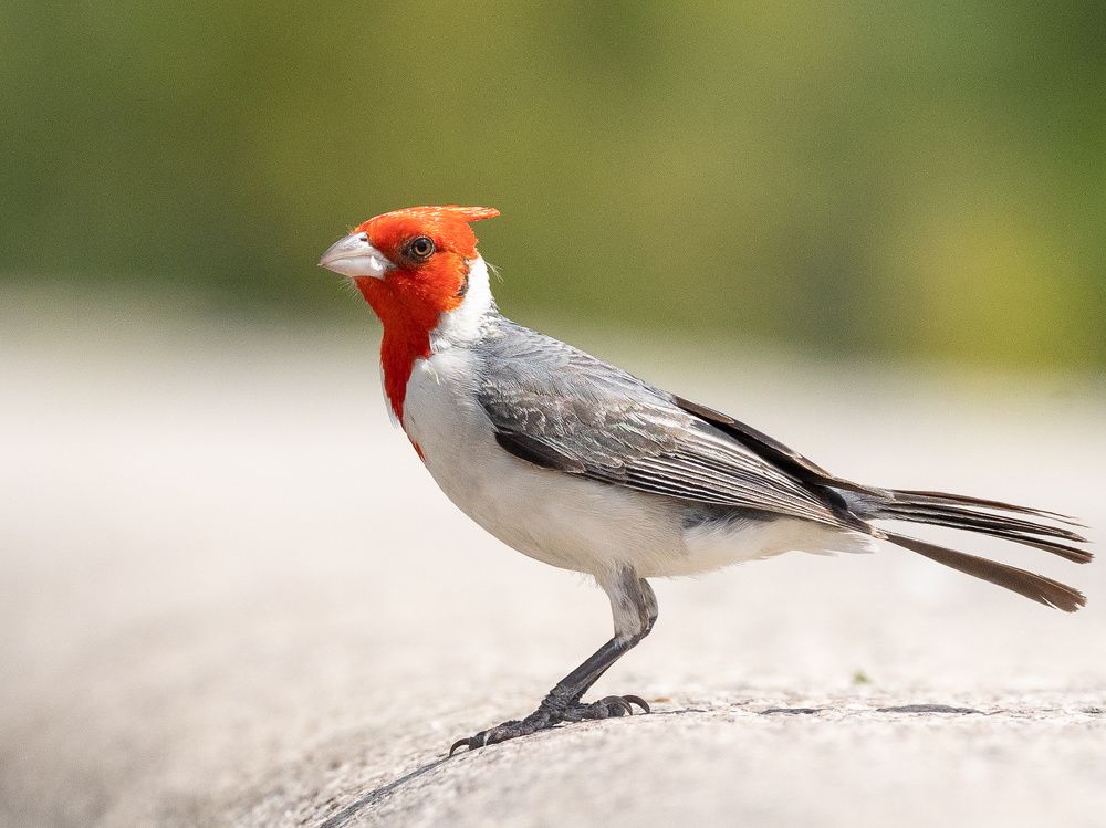 Photograph by Сергей Кошкин