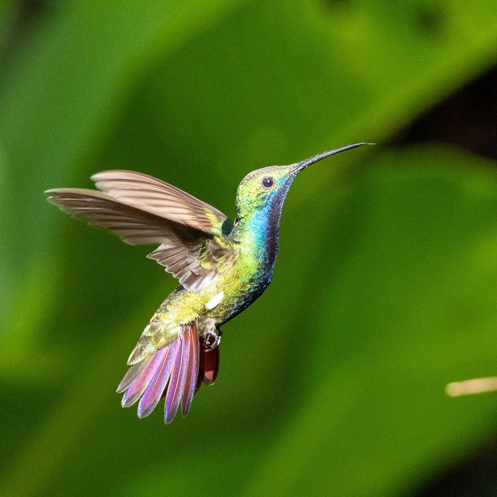 Photograph by Сергей Кошкин