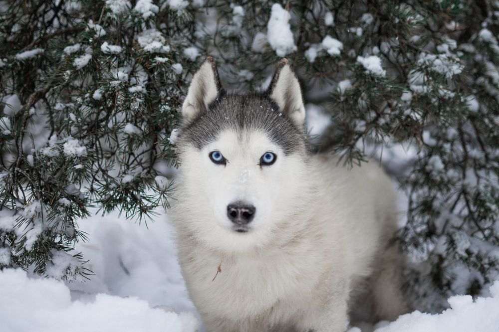 Фотография автора Мария Климова