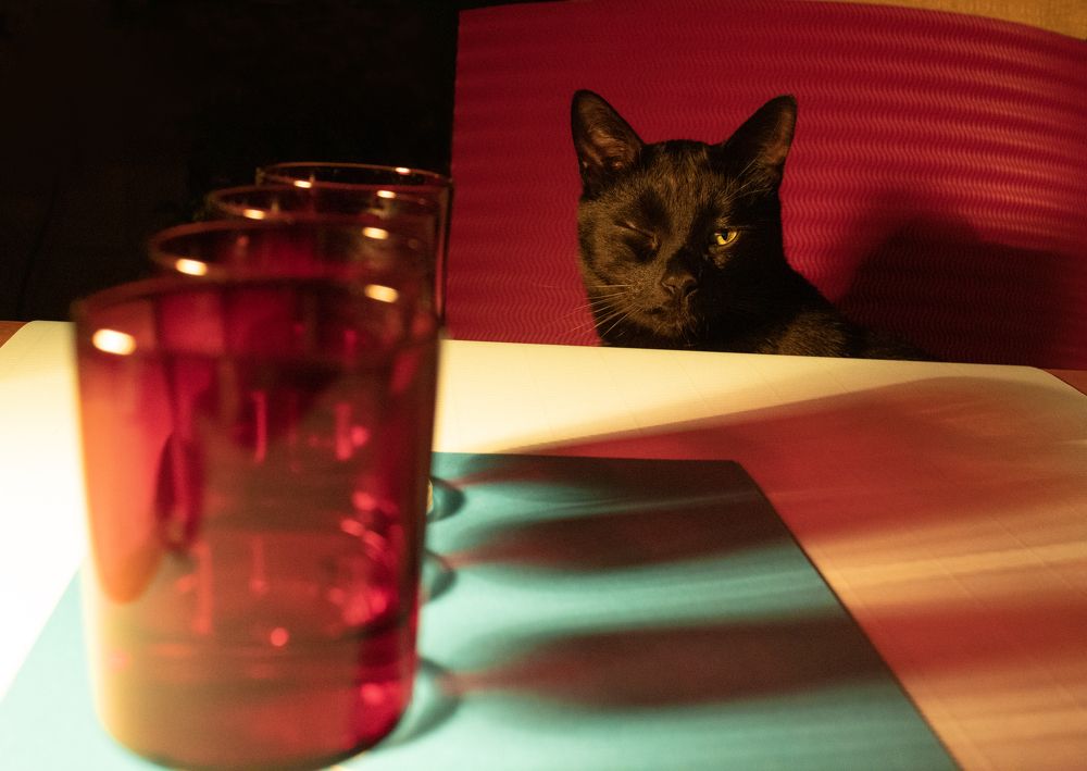 Photograph by Наталья