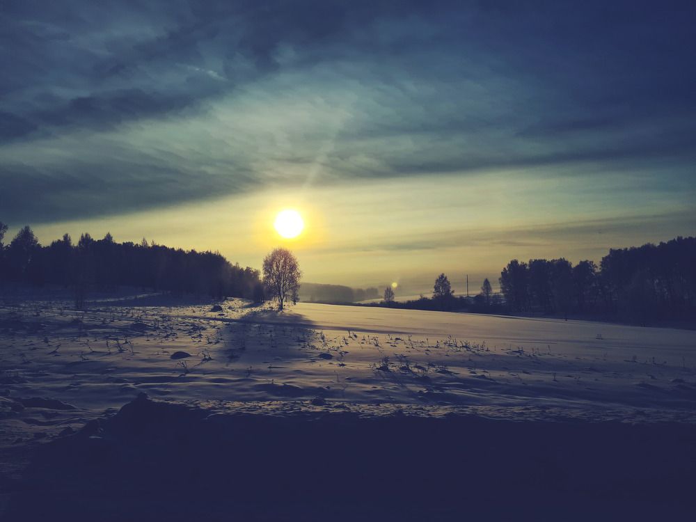 Photograph by Сергей Гриднев