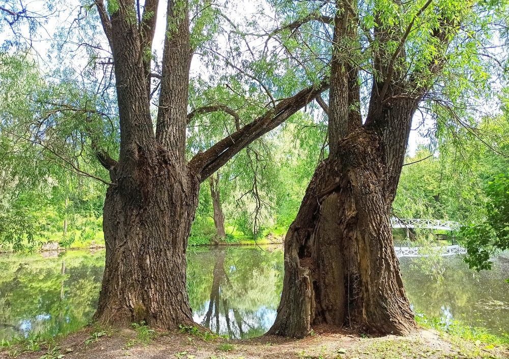 Photograph by Елена Должикова