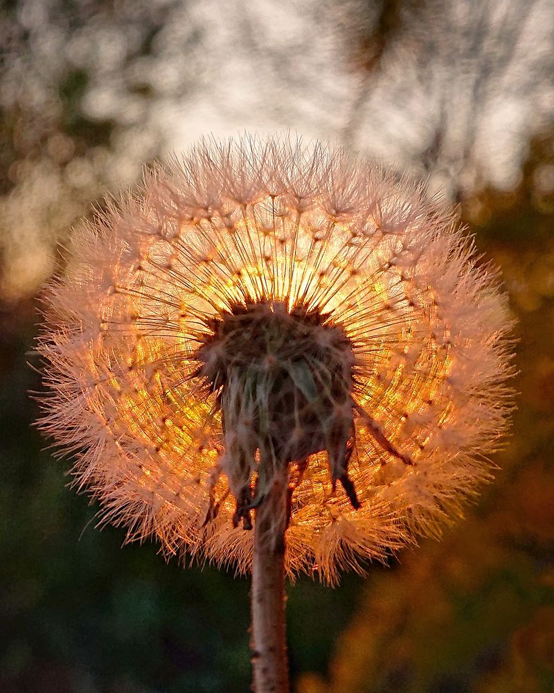 День угасал...