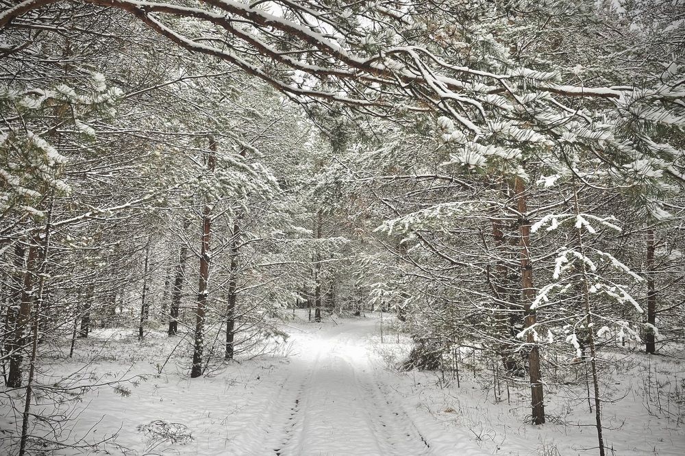 Photograph by Екатерина Шилкина