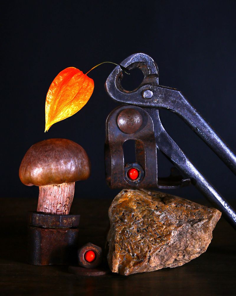 Фотография автора Елена Полякова