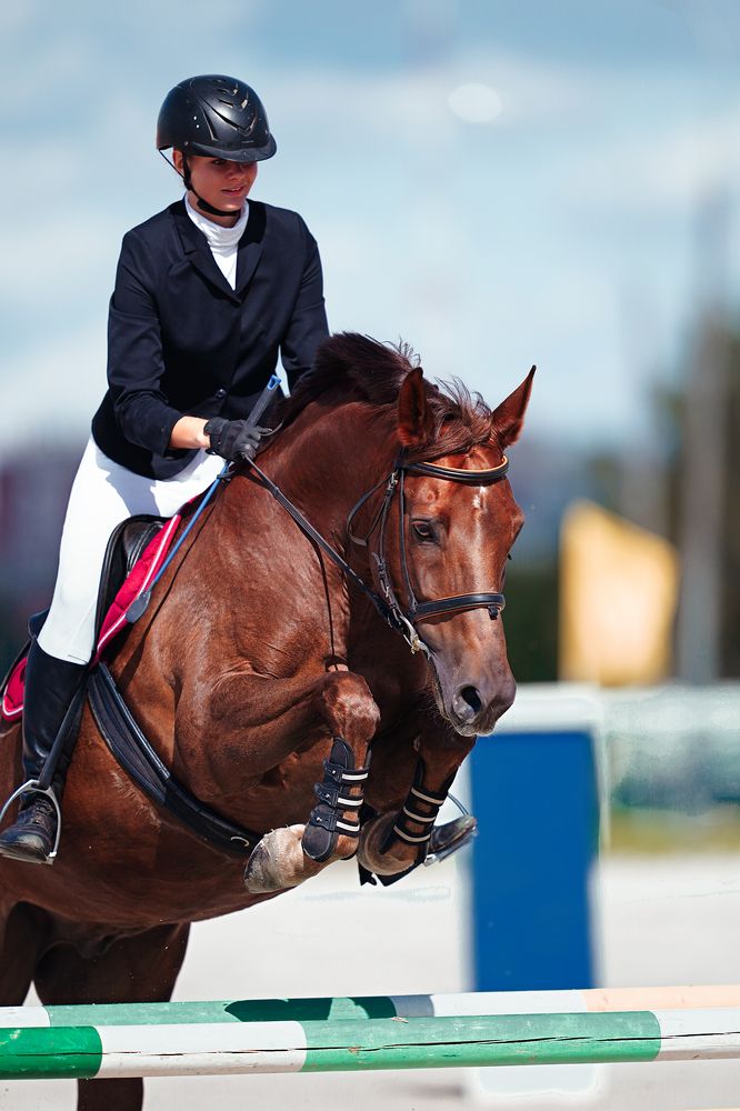 Photograph by Олег Медведев