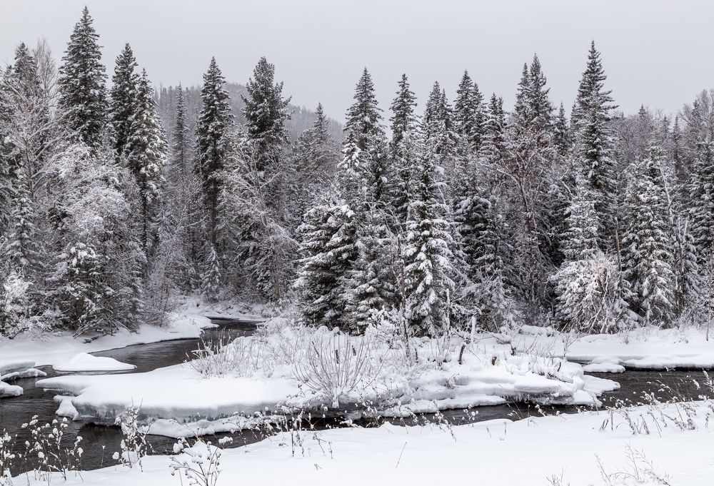 Photograph by Марина Новожилова