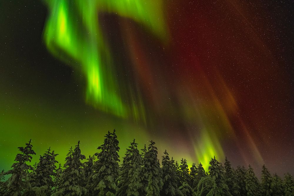 Photograph by Ермохина Наталья