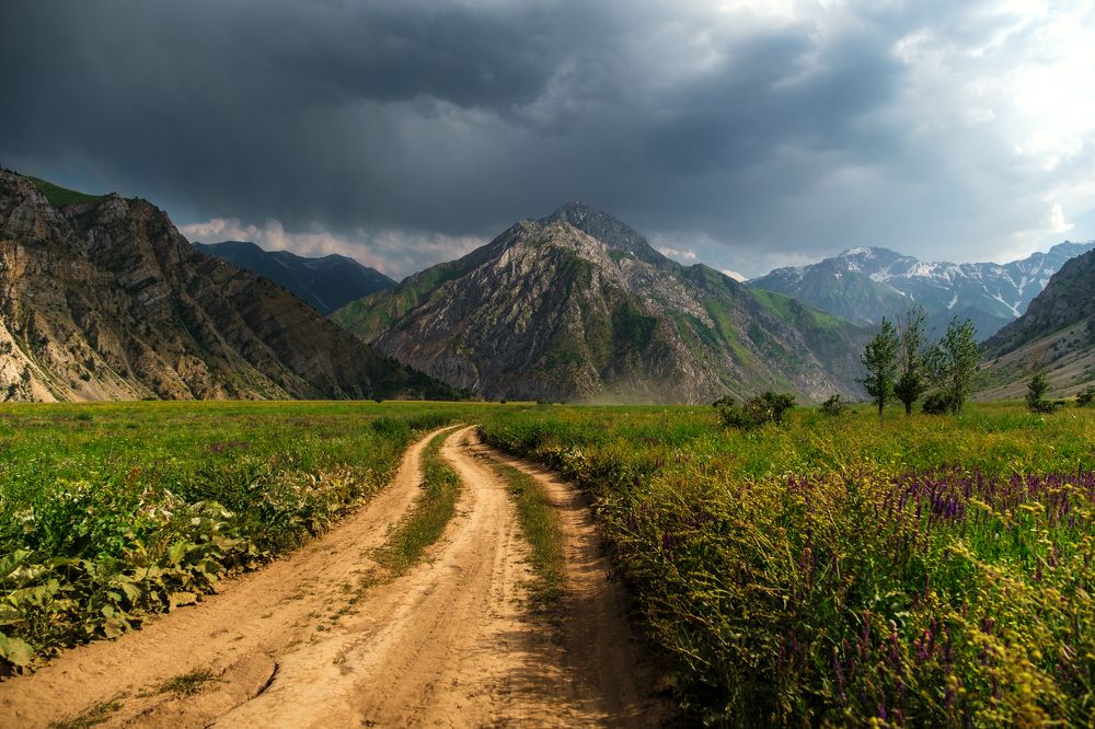 Photograph by Дильмурад Ахмедов