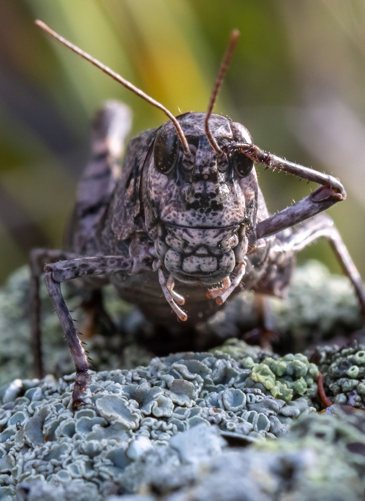 Photograph by Марина Новожилова