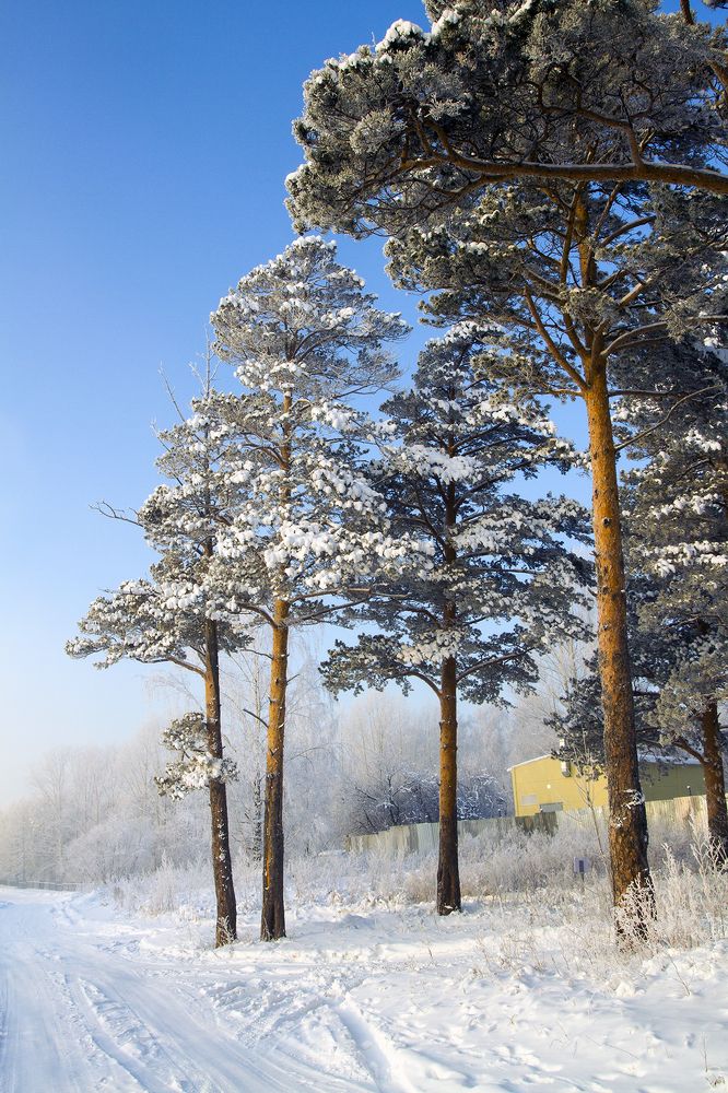 Photograph by Сергей Черных