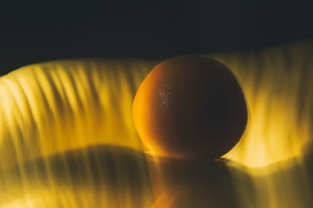 Photograph by Nora Cheprasova