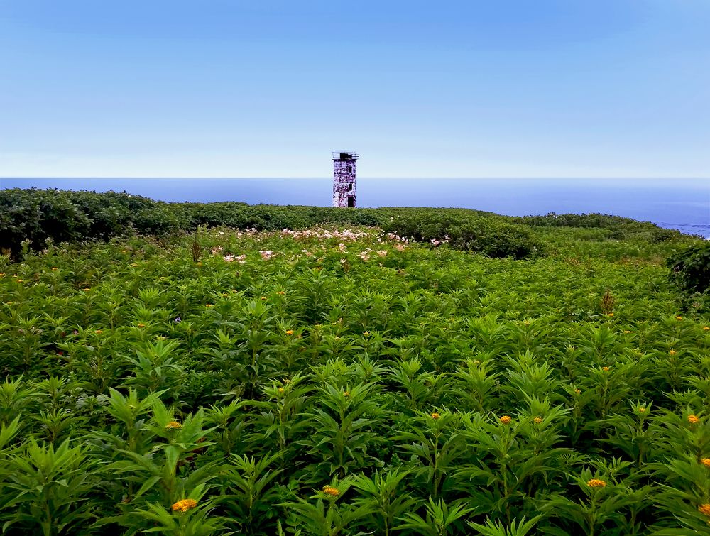 Photograph by Евгений Самулев