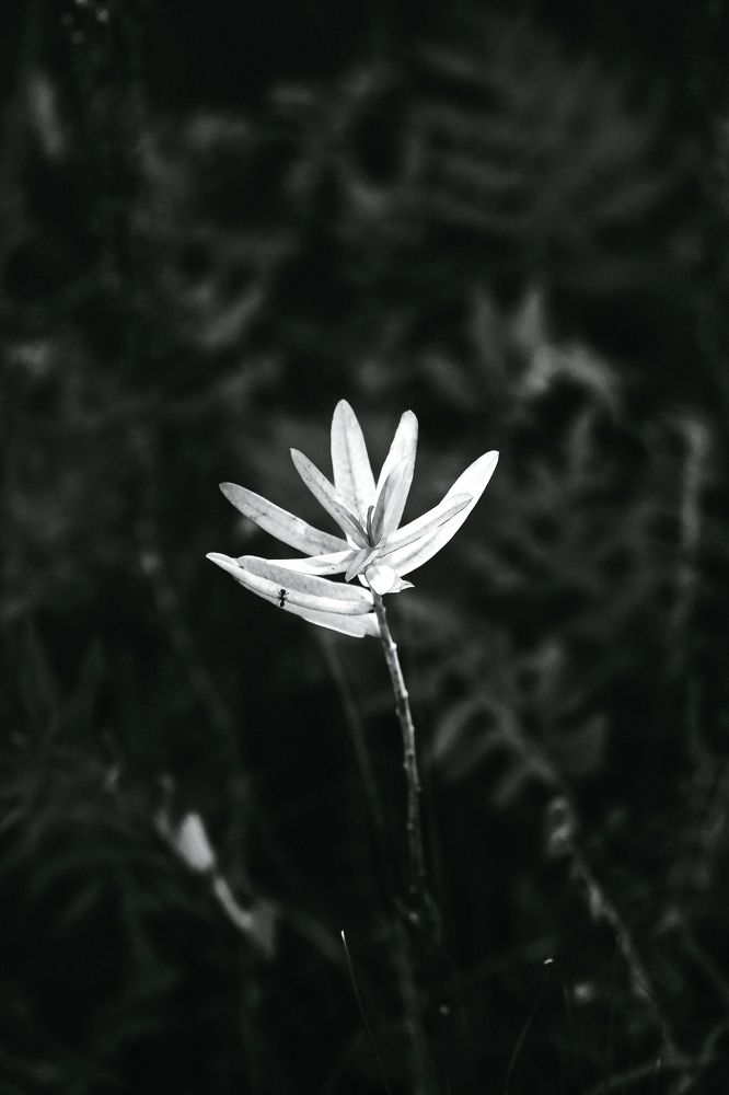 Фотография автора Павел Арсеев