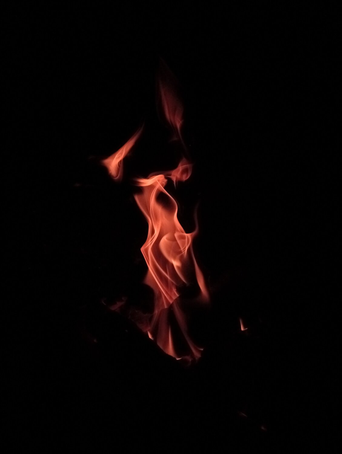Photo #9999236