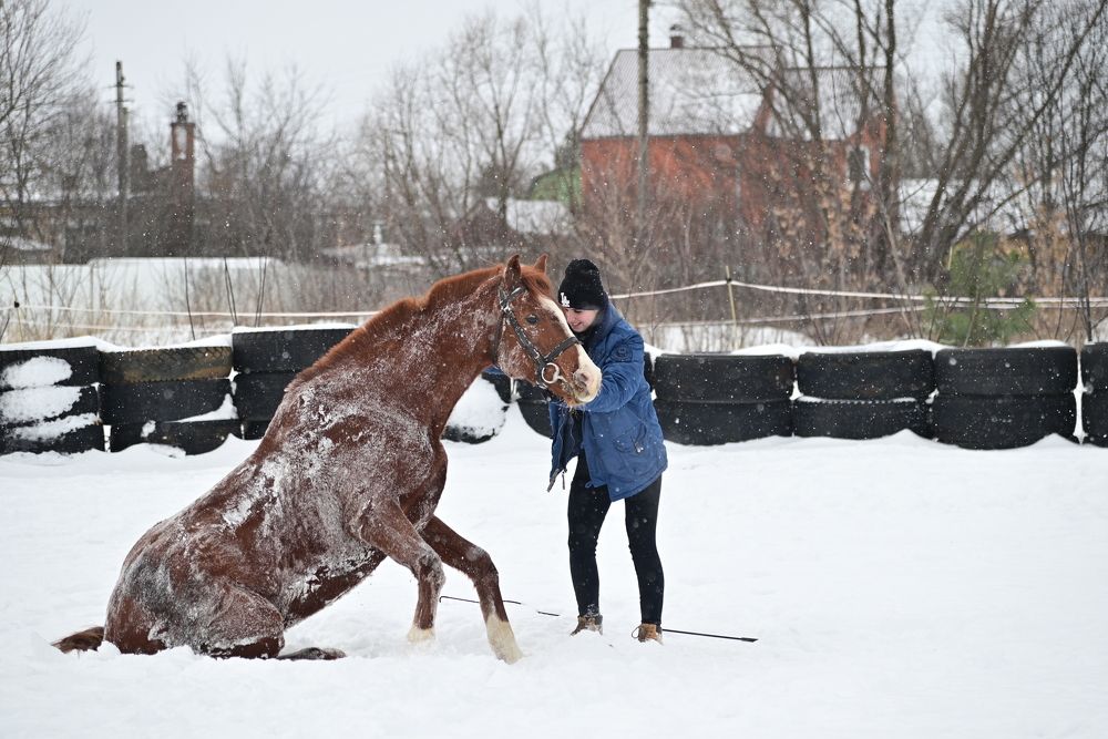 Photograph by Сергей Немцев