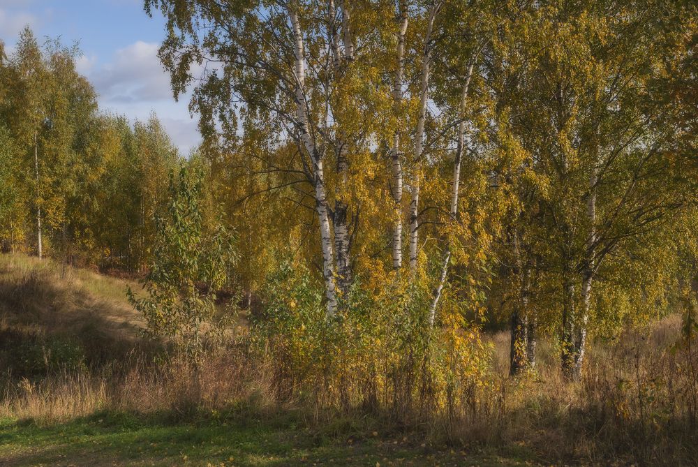 Photograph by Cергей Черныш
