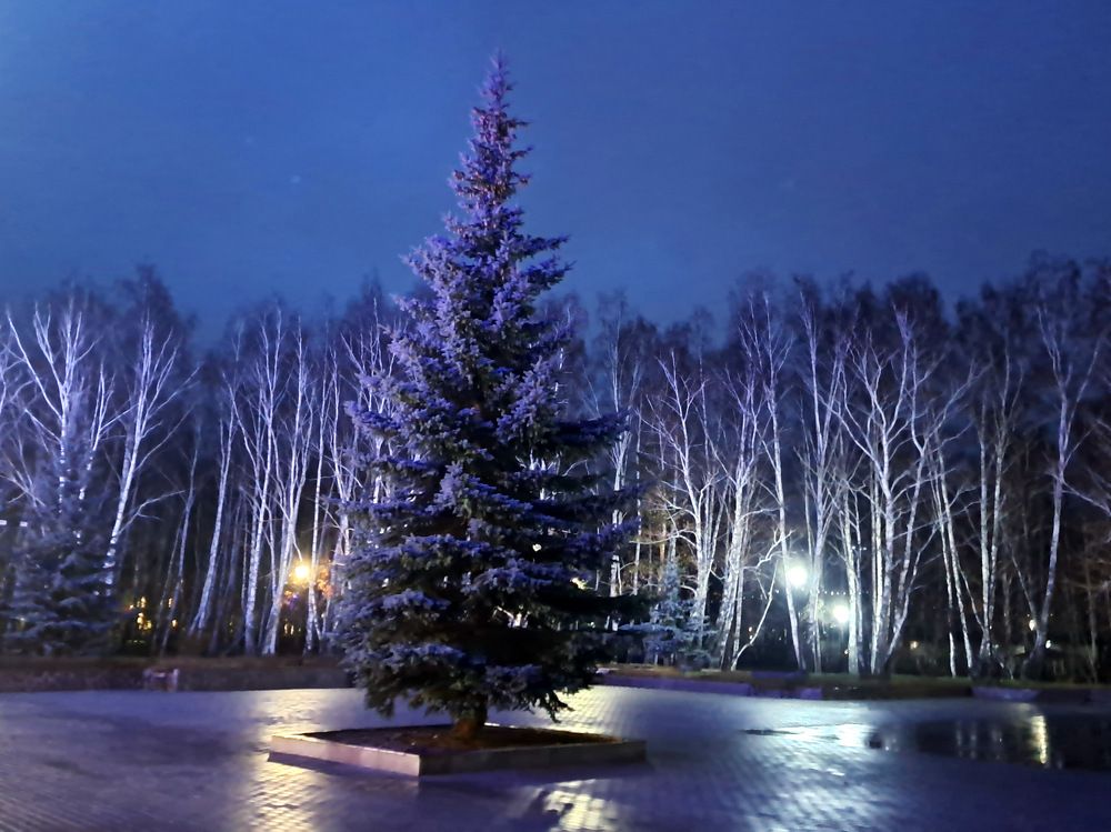 Photograph by Михаил Карнишин