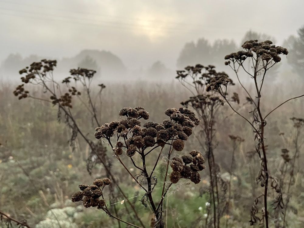 Photograph by Екатерина Шилкина