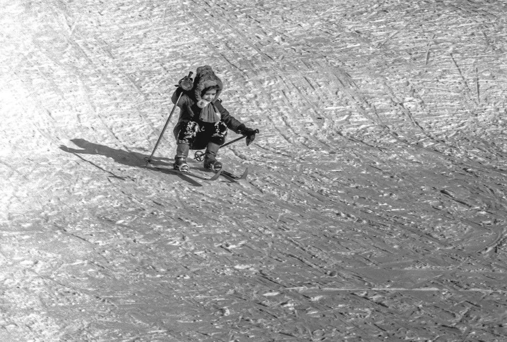 Photograph by Vladimir  Komarov