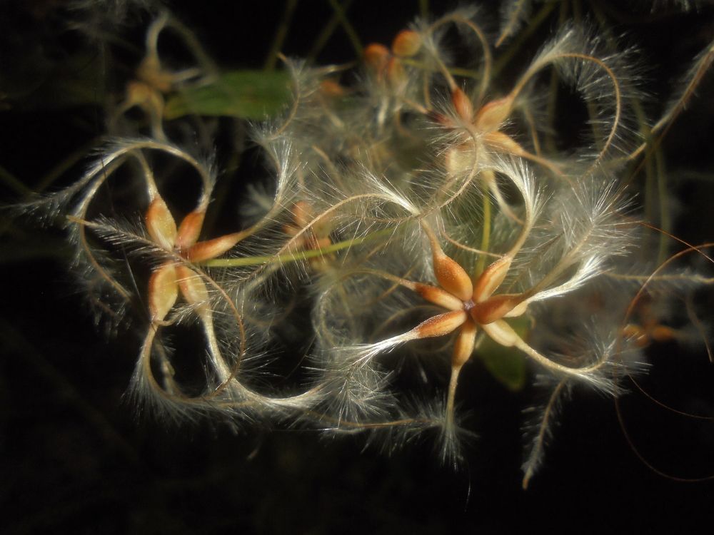 Завершение.