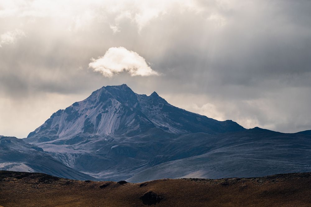 Photograph by Sandra Alvarez