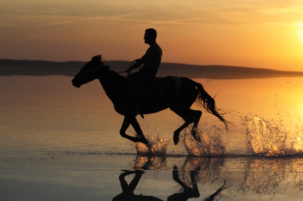 Photograph by Ольга Одаренко