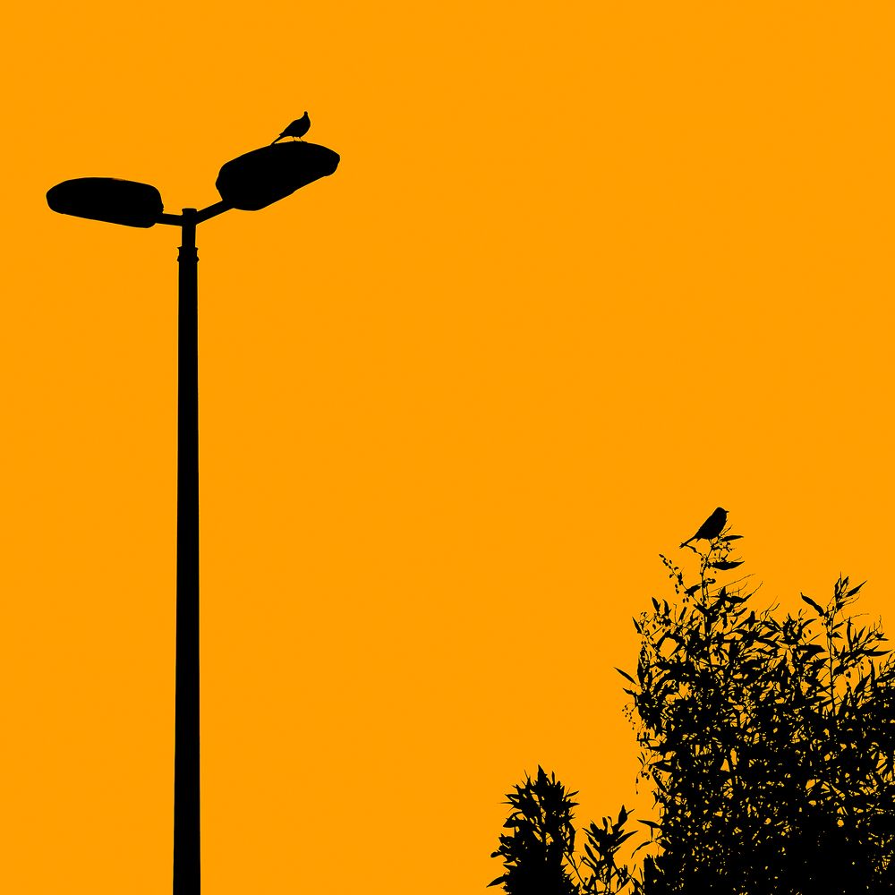 Photograph by Maryam Jassim