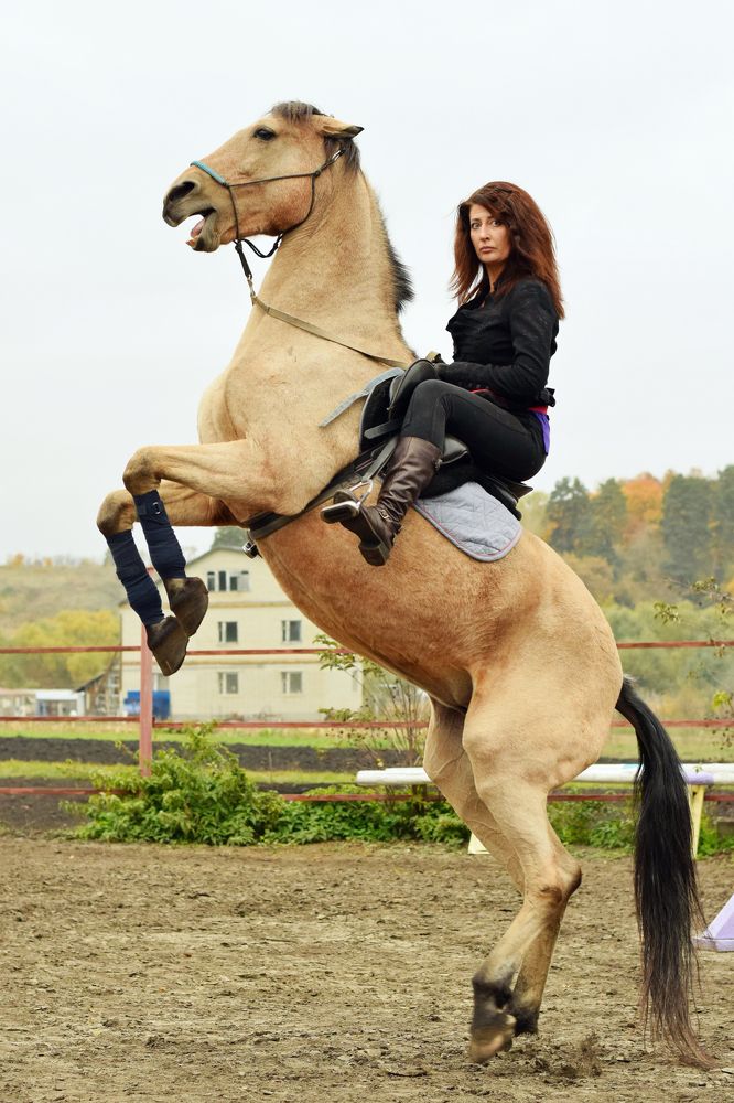 Фотография автора Илья Илюшин