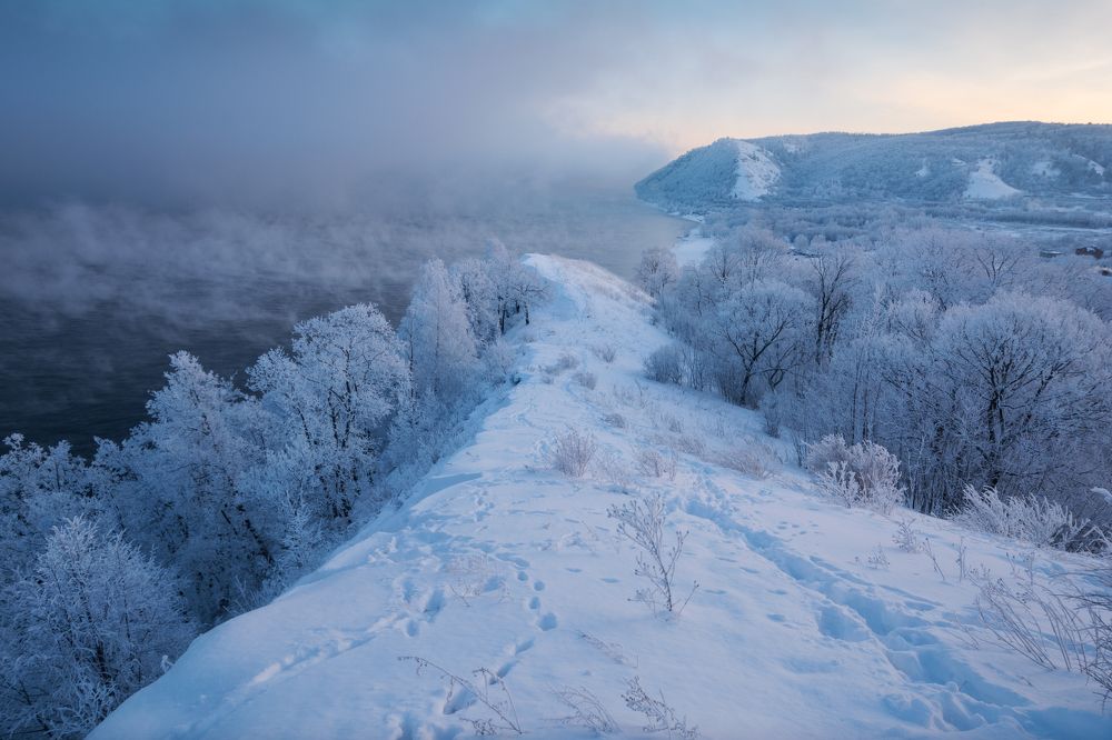 Фотография автора Алексей Проняхин