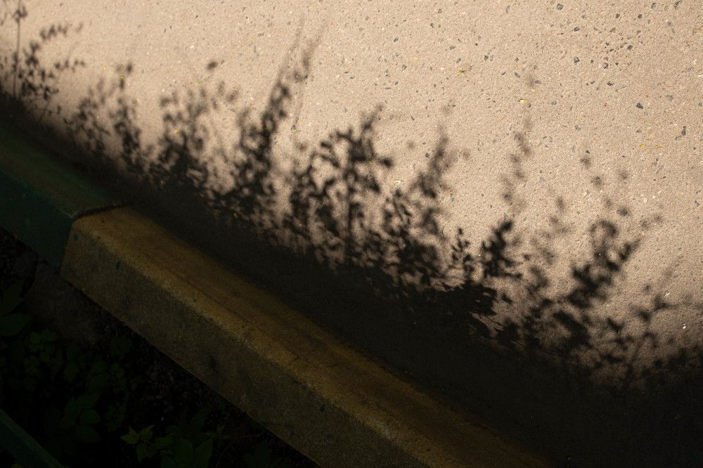 Photograph by Татьяна Музыка