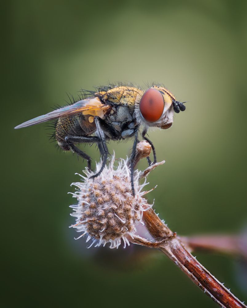 Фотография автора Андрей Жила