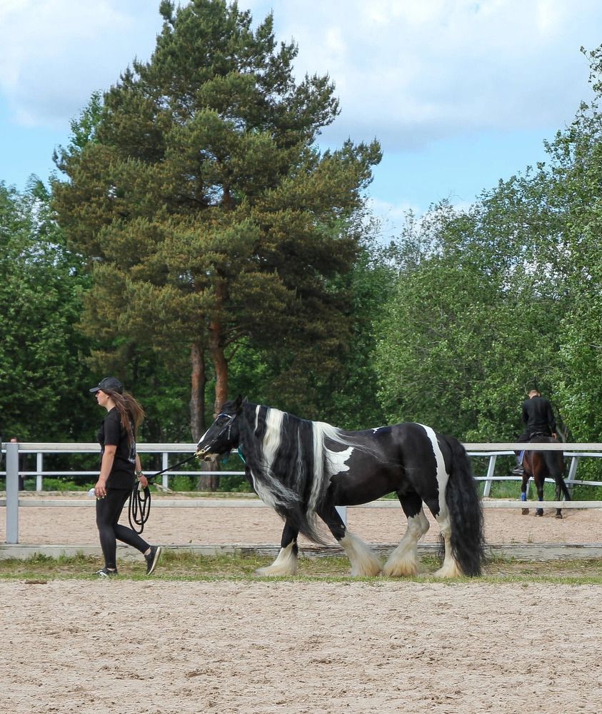 Photograph by Елена Данченко