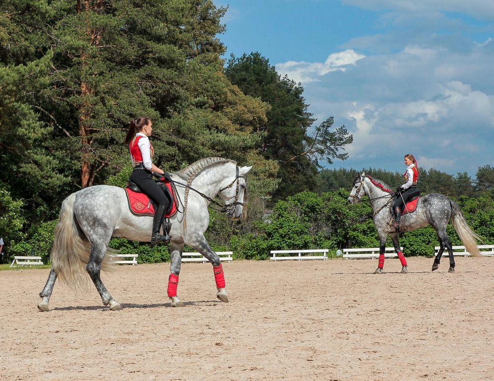 Photograph by Елена Данченко