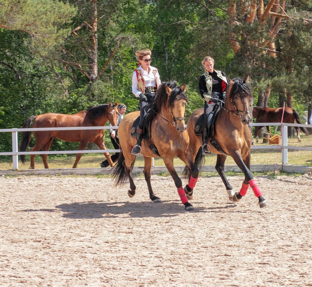 Photograph by Елена Данченко