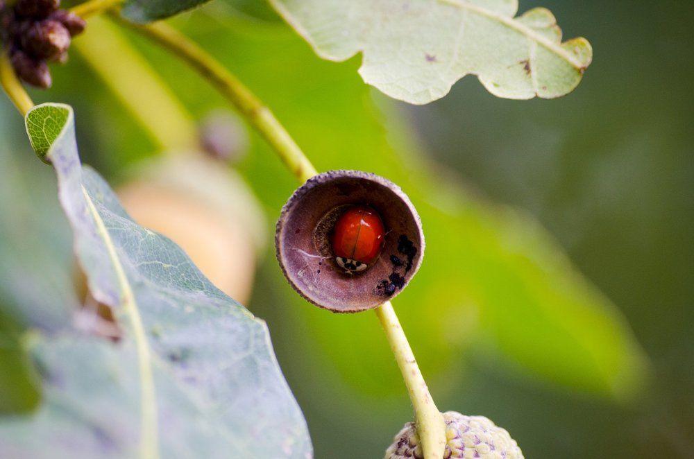 Готовимся к зиме...