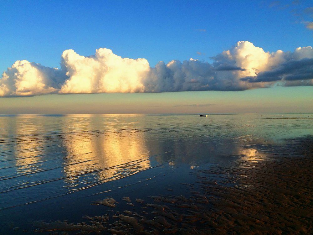 Сюрреализм в природе