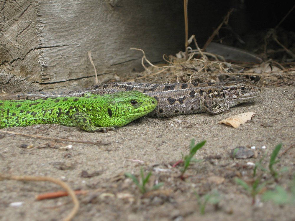 Photograph by Дмитрий