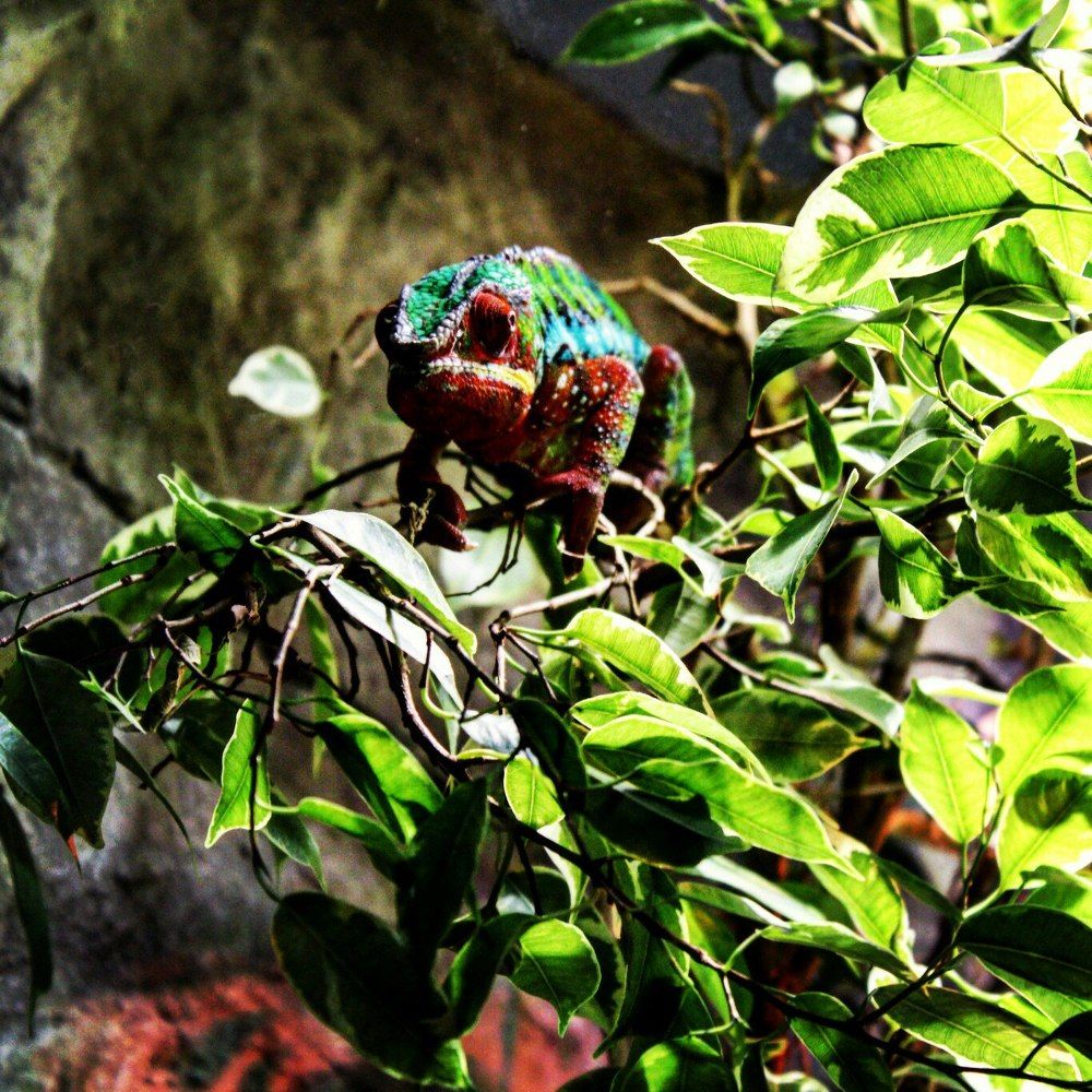 пронзительный взгляд