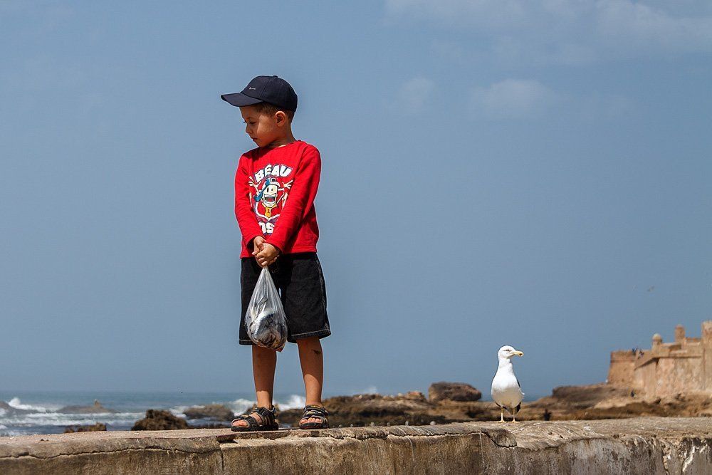 How Much Is The Fish