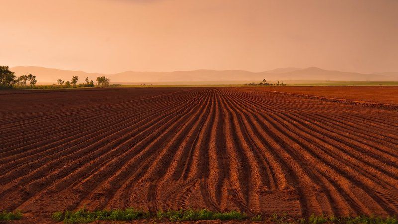 Андрей Журавлев, Kazakhstan
