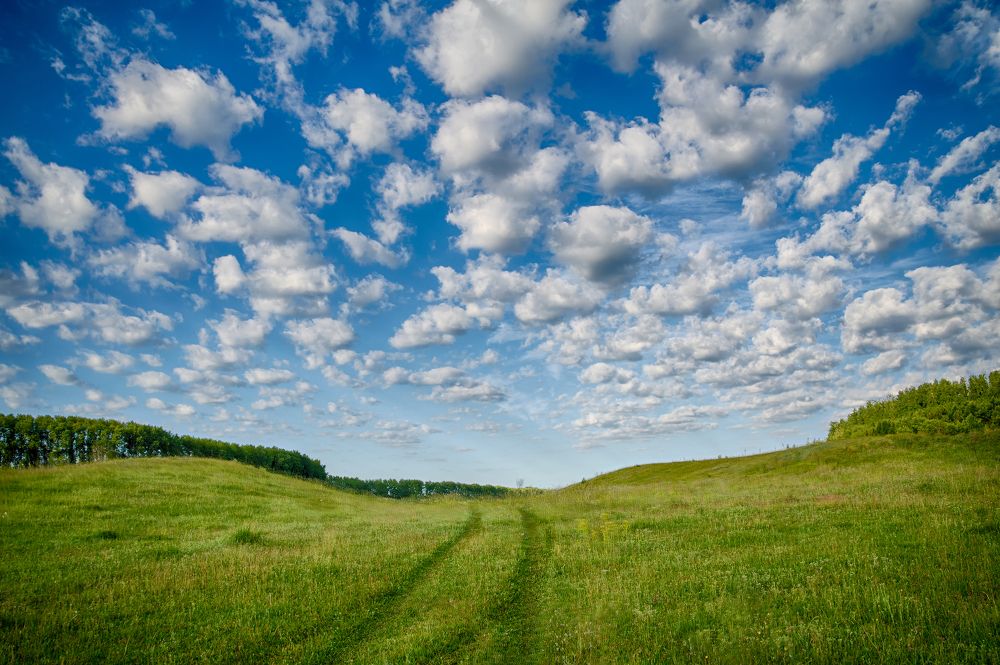 Навстречу природе