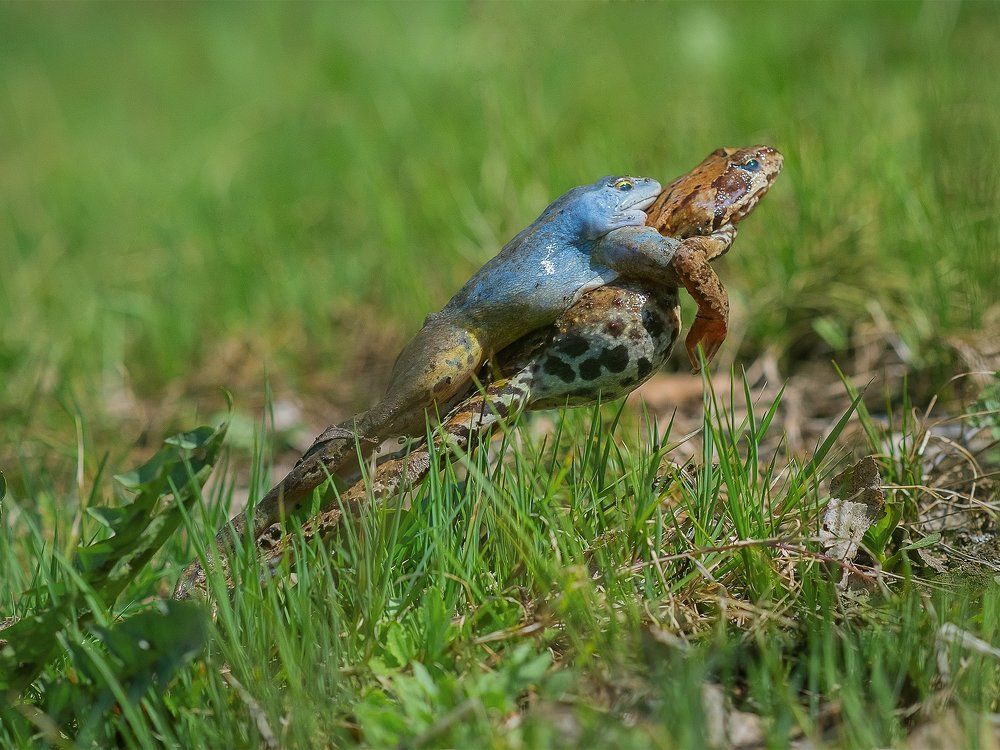 Прыжок в неизвестность